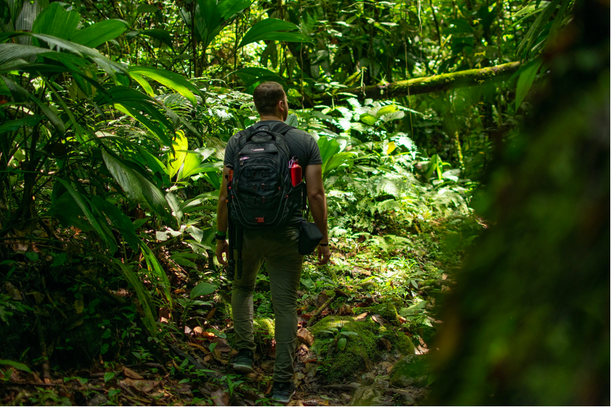 A hiker walking through the jungle